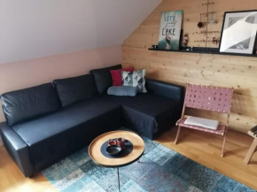 Beautiful 1-Bed Apartment in Fuzine with lake view